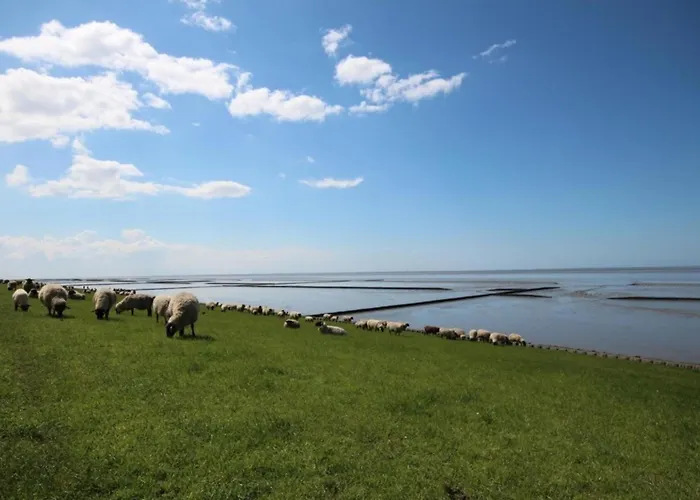 Semesterbostad Bis 6 Personen Ohne Hund Norden